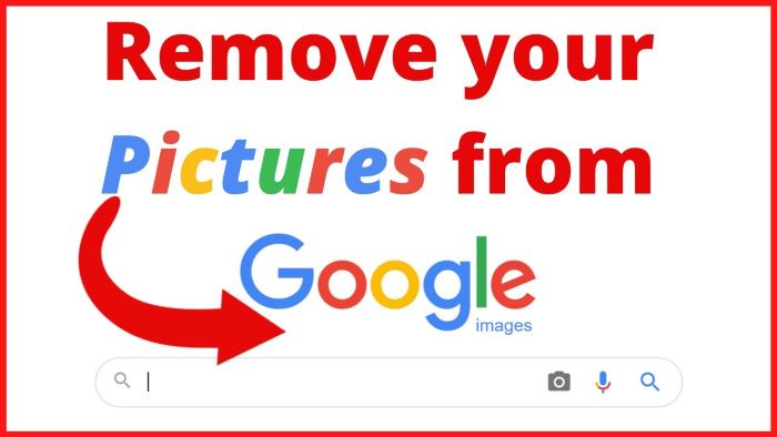 Enjoy Getting the Perfect Google Image Removal Solutions